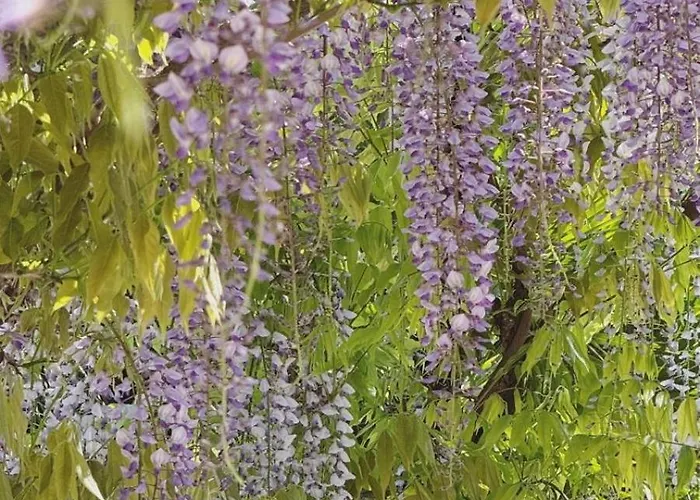 Mediterranean Retreat With Sea View In